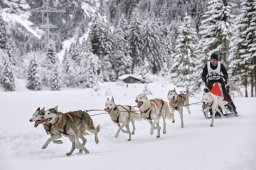 Kandersteg 2014 WM