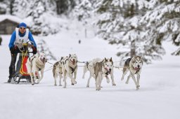Kandersteg 2014 WM