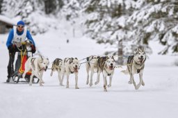 Kandersteg 2014 WM