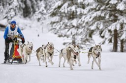 Kandersteg 2014 WM