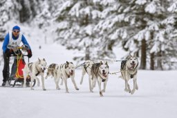 Kandersteg 2014 WM