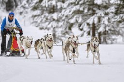 Kandersteg 2014 WM
