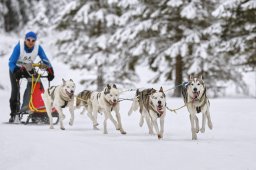Kandersteg 2014 WM