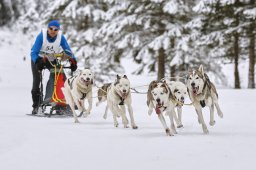 Kandersteg 2014 WM