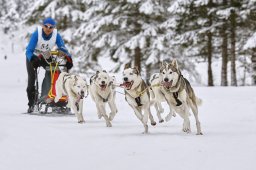 Kandersteg 2014 WM