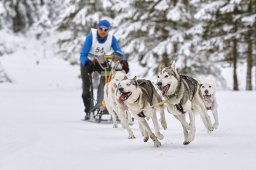 Kandersteg 2014 WM