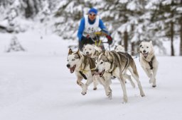 Kandersteg 2014 WM