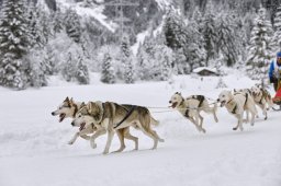 Kandersteg 2014 WM