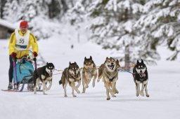 Kandersteg 2014 WM