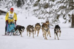 Kandersteg 2014 WM