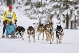Kandersteg 2014 WM