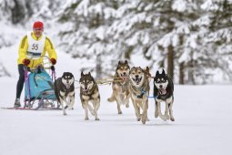 Kandersteg 2014 WM