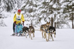 Kandersteg 2014 WM