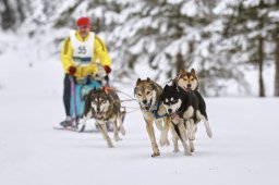 Kandersteg 2014 WM
