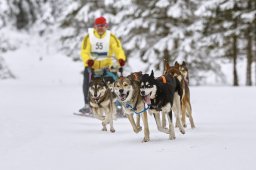 Kandersteg 2014 WM
