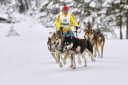 Kandersteg 2014 WM