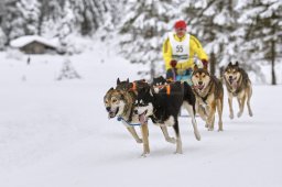 Kandersteg 2014 WM