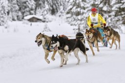 Kandersteg 2014 WM