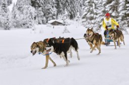 Kandersteg 2014 WM