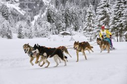 Kandersteg 2014 WM