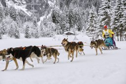 Kandersteg 2014 WM