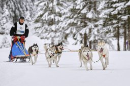 Kandersteg 2014 WM
