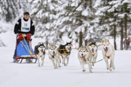 Kandersteg 2014 WM
