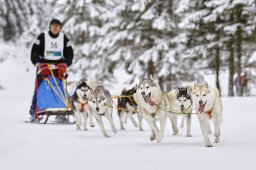 Kandersteg 2014 WM