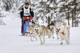 Kandersteg 2014 WM