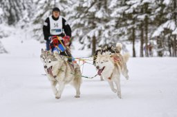 Kandersteg 2014 WM