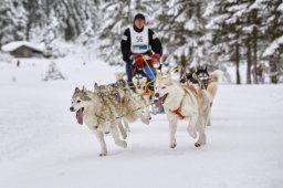 Kandersteg 2014 WM