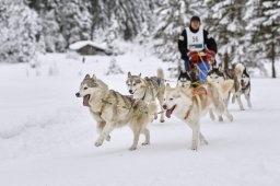 Kandersteg 2014 WM