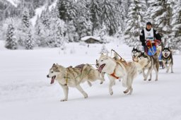 Kandersteg 2014 WM