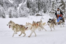 Kandersteg 2014 WM