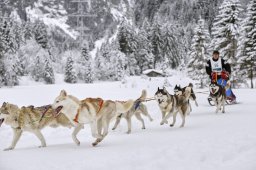 Kandersteg 2014 WM