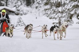 Kandersteg 2014 WM