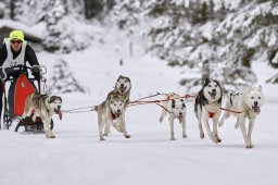 Kandersteg 2014 WM