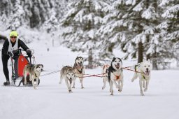 Kandersteg 2014 WM