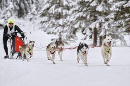 Kandersteg 2014 WM