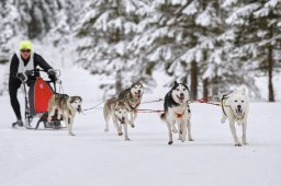Kandersteg 2014 WM