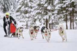 Kandersteg 2014 WM