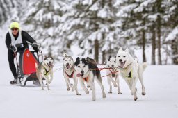 Kandersteg 2014 WM