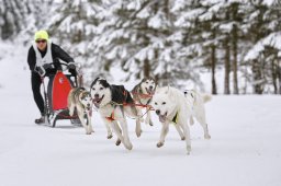 Kandersteg 2014 WM