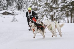 Kandersteg 2014 WM