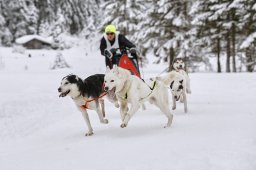 Kandersteg 2014 WM