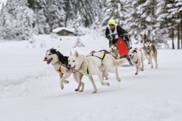 Kandersteg 2014 WM