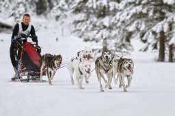 Kandersteg 2014 WM