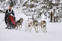 Kandersteg 2014 WM