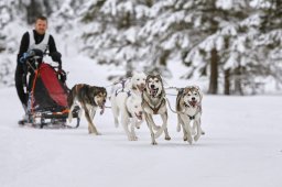 Kandersteg 2014 WM