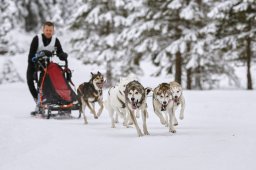 Kandersteg 2014 WM